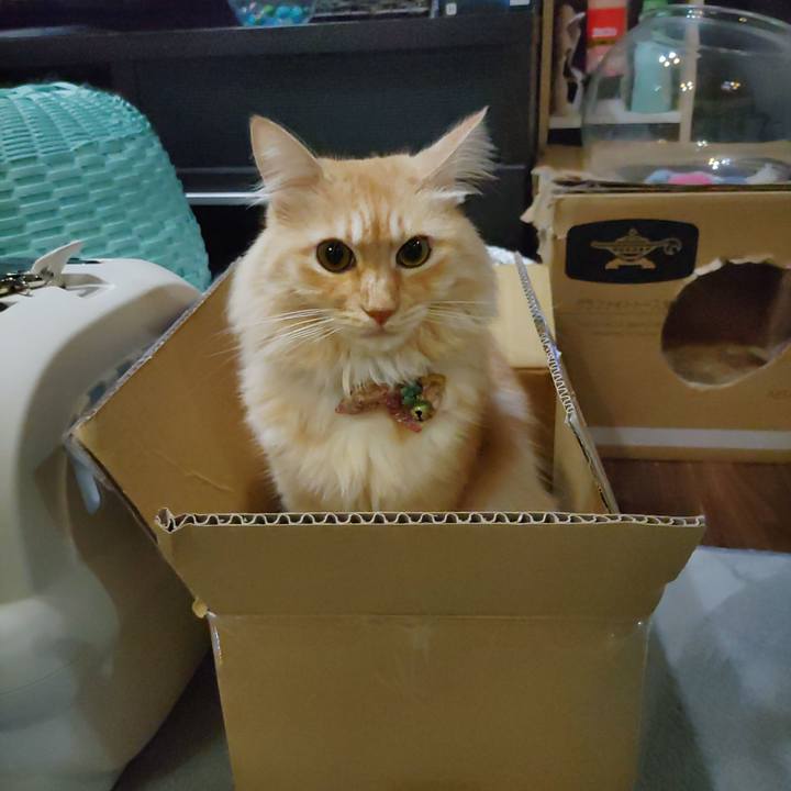 50a4065a a15a 474d b7e4 d83ddebd7f2d 1697463462383