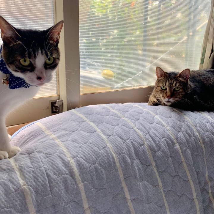 50a41113 b61f 4690 8248 793a83362447 1566101359536