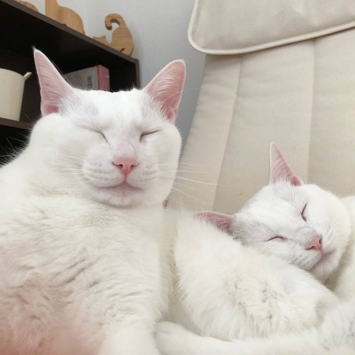 50a45862 45db 42c0 bf71 b6deb7c6ea02 1522133316863