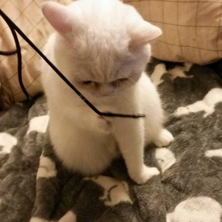 50a48458 c735 408e b866 4918844e333f 1514330079896