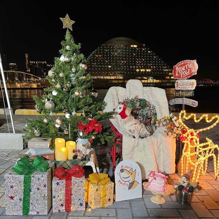 50a4b8e2 5fe0 4ed0 a474 1b0e3a7c89eb 1763879688615