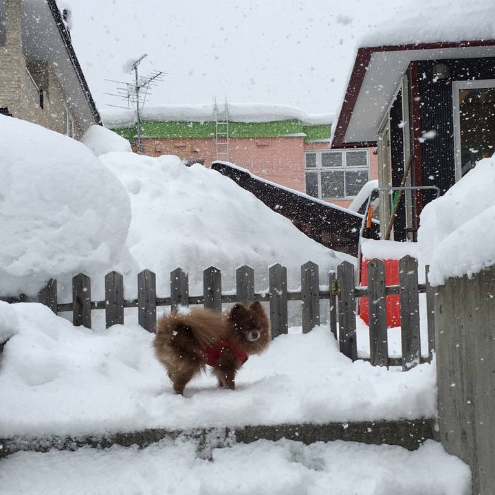 50a4c903 cb32 484b a4d5 76b1a2f3dd4c 1519162484675