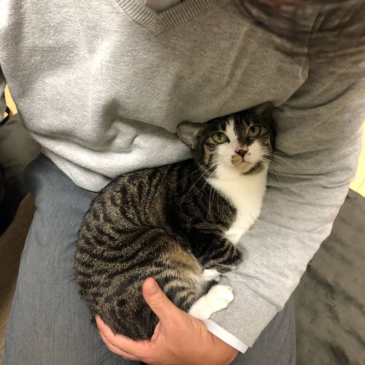 50a4d176 ee49 4f67 8292 903269335bc2 1576320144286