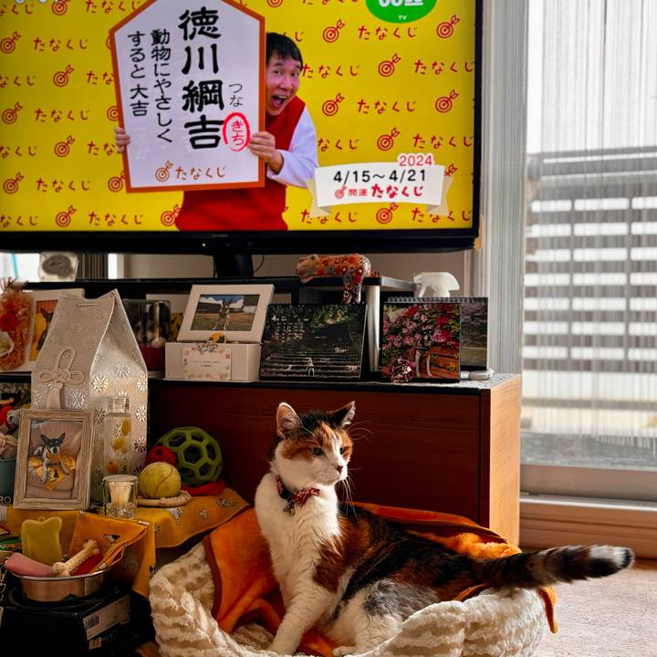 50a4e158 40c5 4150 b4f1 197cb390af50 1713152781735