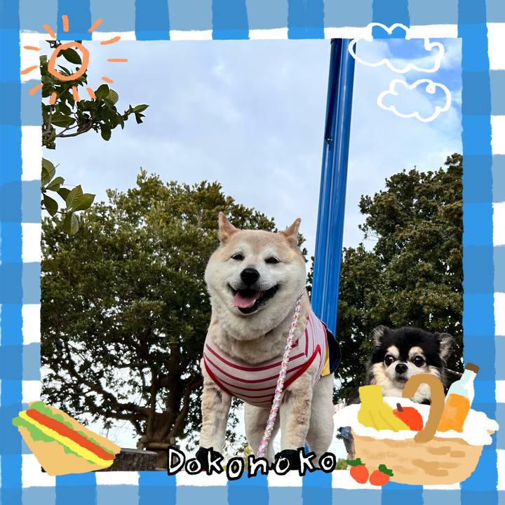 50a4facb 8d1f 47af b454 6d89579fefe9 1744252530052