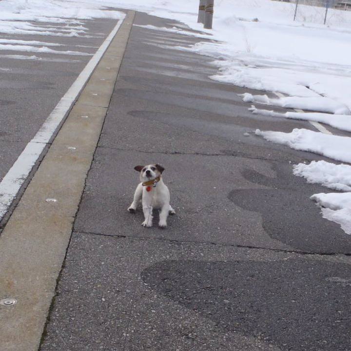 50a50858 4108 4761 99cc 4549557404c5 1517220136613