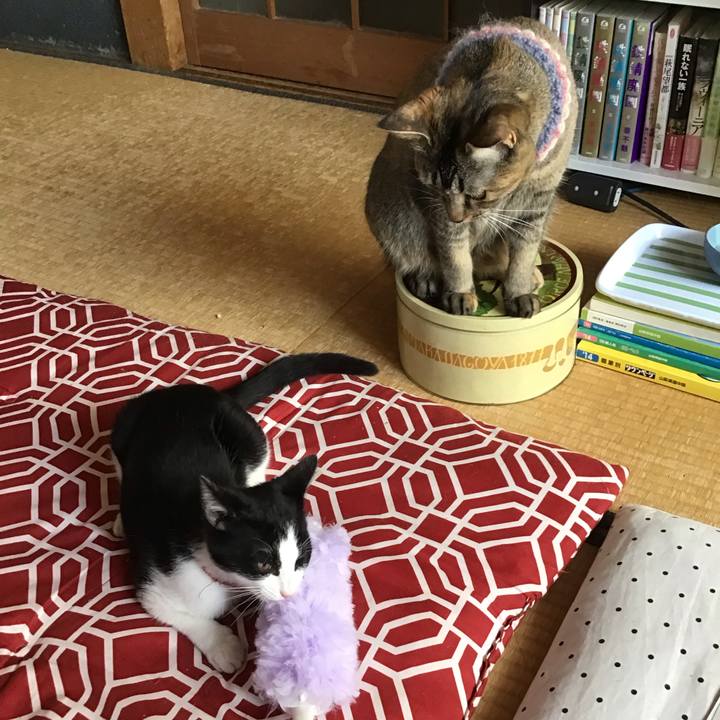 50a51248 256e 4ccf 8031 2baa36031bb7 1627177582254