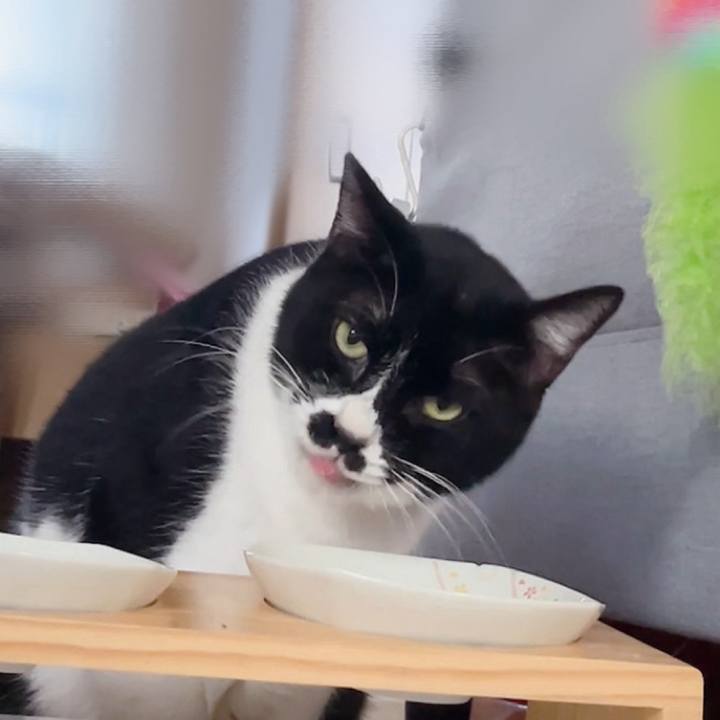 50a513e3 c148 4ece b77c 85d025774182 1705269554915