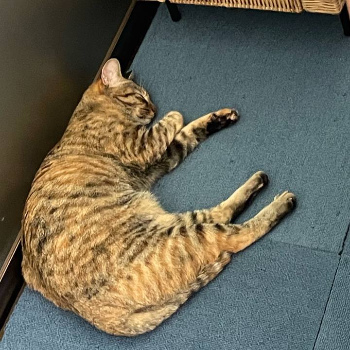 50a51c6c c40f 4ce5 b3bf 0036381a3bd0 1756688953448