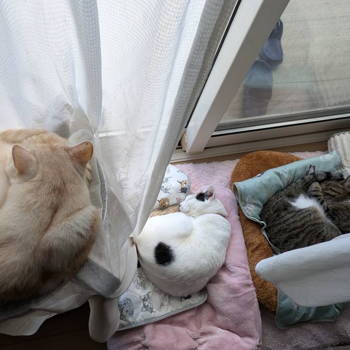 50a596ed e2ab 4136 b08f e7f4b300aeee 1745986079006