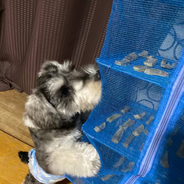 50a5ca1b 4879 4178 a0aa 2cf88c0727b4 1570027187257