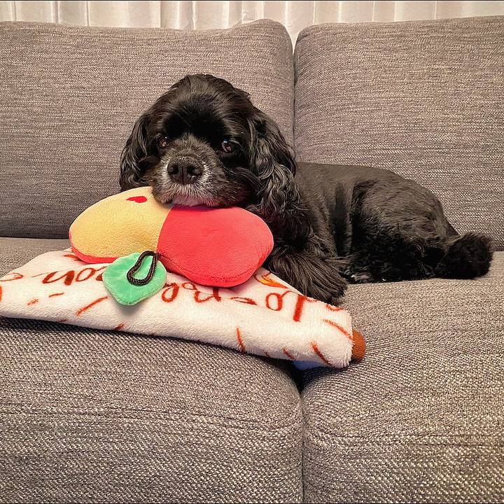 50a5d0e8 be69 4193 a90e 3fb6f512a90f 1636895878200