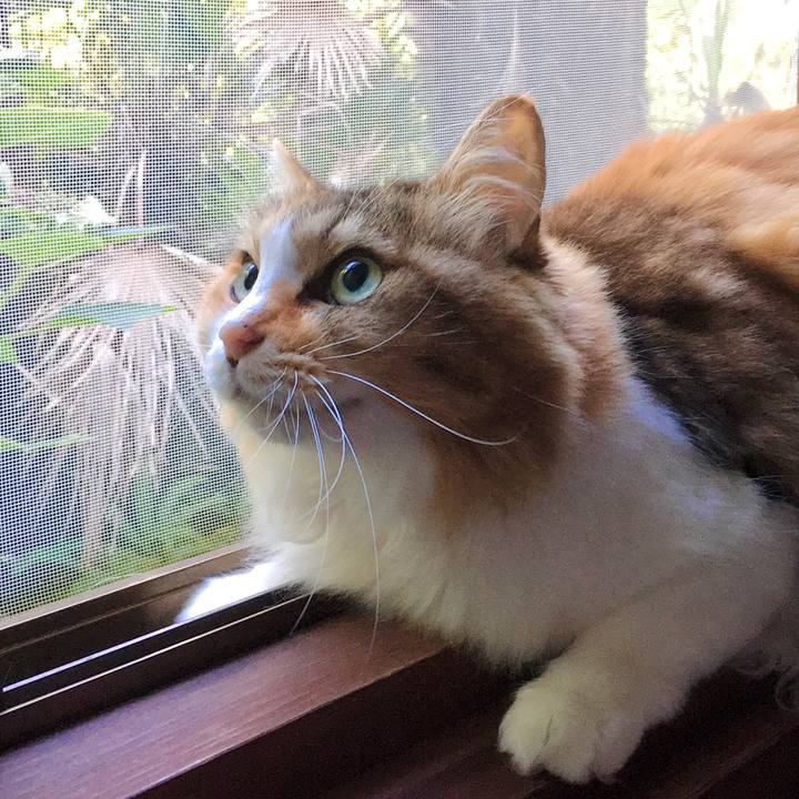 50a6365a 5566 4d44 9915 2c12106cf408 1601275794425