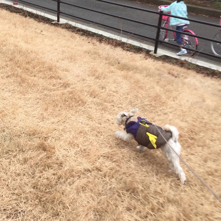 50a66451 48f0 4cde bf58 97a3c4a6142c 1514714090676