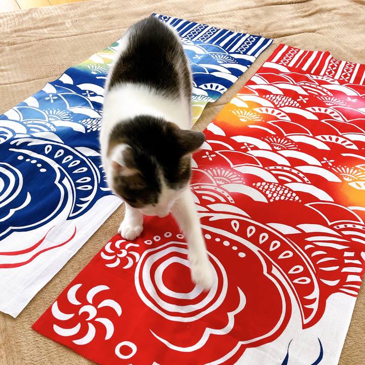 50a681dc 90d1 4d60 80b5 9494c9e9d62c 1620208740176