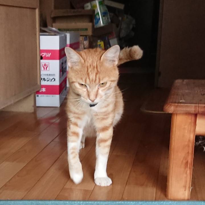 50a6b0c3 886c 41d7 8bcf 6cb3a6cd57d4 1564476910739