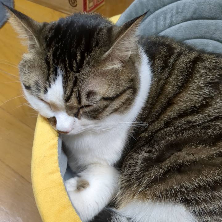 50a71af0 1753 47bd a26b a452151ce435 1668324315941