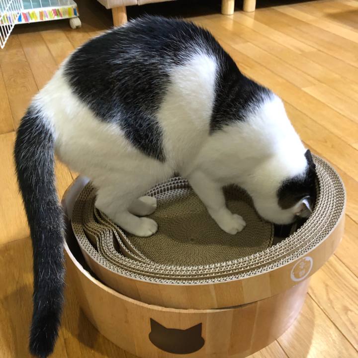 50a724c1 edf3 4795 bb44 31390c688100 1695380381310