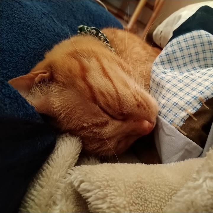 50a76b89 ef64 4c9e 86d8 944b4e6d8ca5 1605486999044