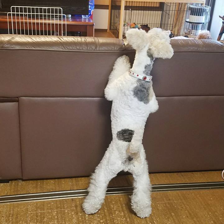 50a7a460 cf12 4973 a9b4 732982fd72c2 1530174597319