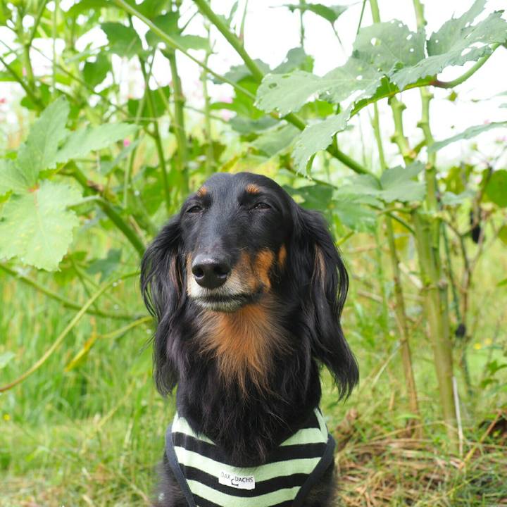 50a7c105 c9ed 4207 8eae 2bca47fdab04 1601356463576