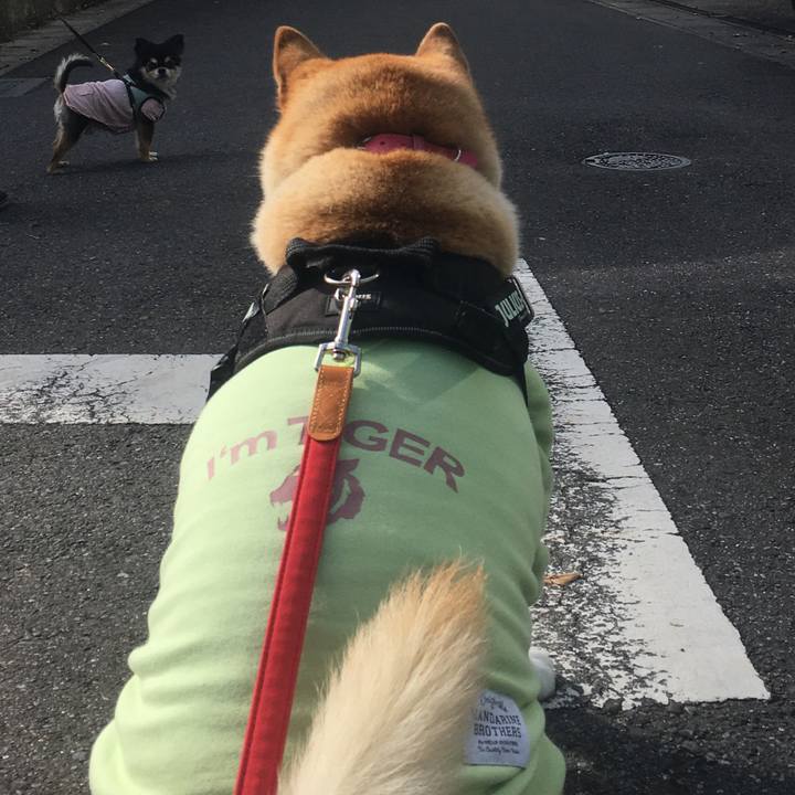 50a7c435 75f8 448b 8c3a 23dca9306aa8 1575515829856