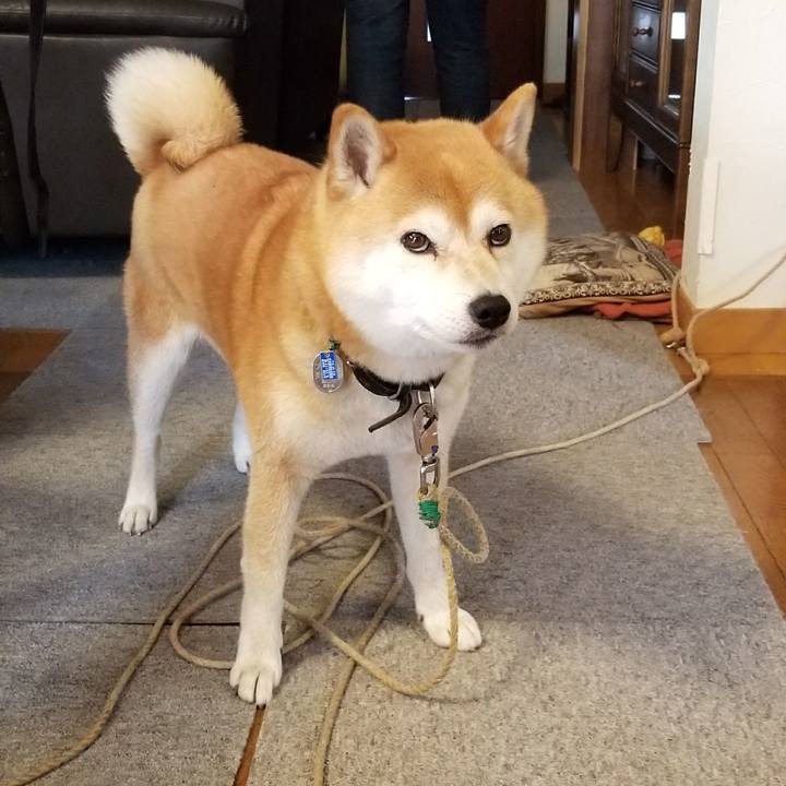 50a7e975 0de2 45e2 ba9f 7e4c3fdd91cc 1524781004613