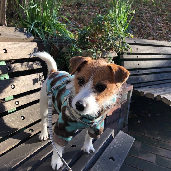 50a7eee9 2f0c 4361 ae02 e8e8a4bf0e1d 1571562338177