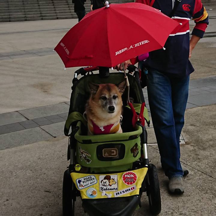 50a81385 648d 4826 9d0d 3fb4e9fc56c1 1538216304667