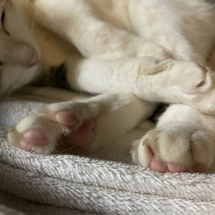 50a81d38 4726 4713 971e 63386e612072 1636721684711