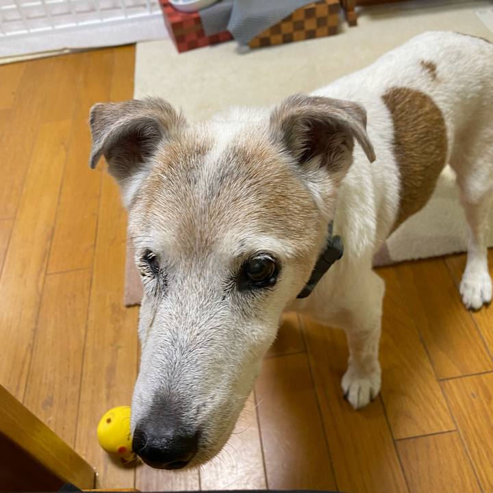 50a83a60 d70f 4441 94ad d9b02acd0f56 1723070602394