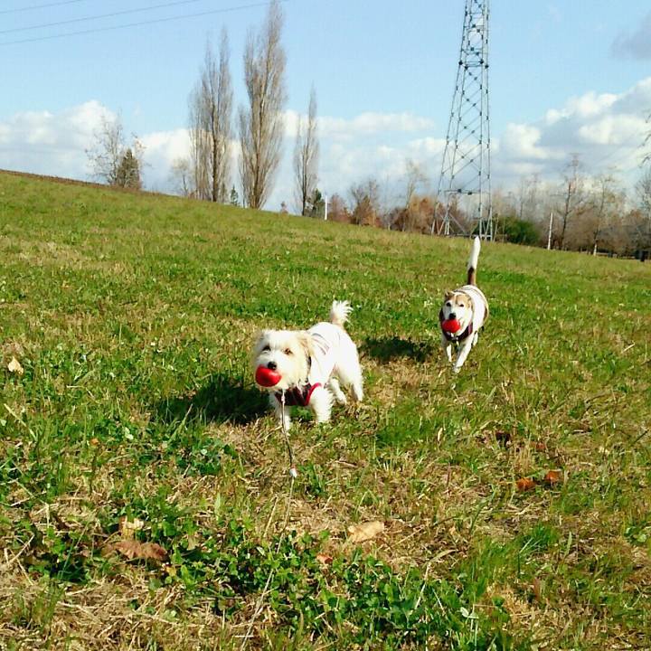 50a843ae f0bb 4779 b351 1ae0eb70c23d 1512869054369