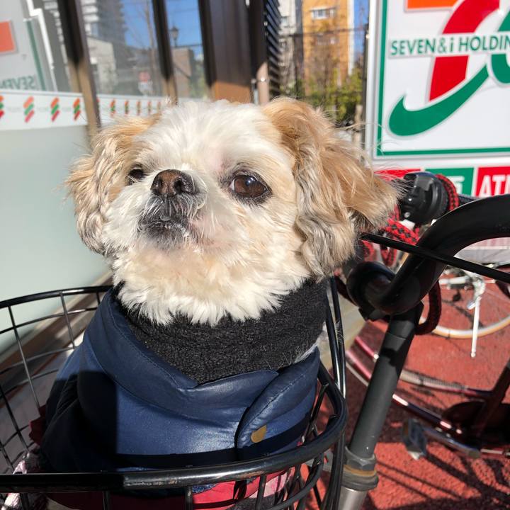 50a84425 59c9 47f7 9eaf b1a4c0d10fa7 1581543820675