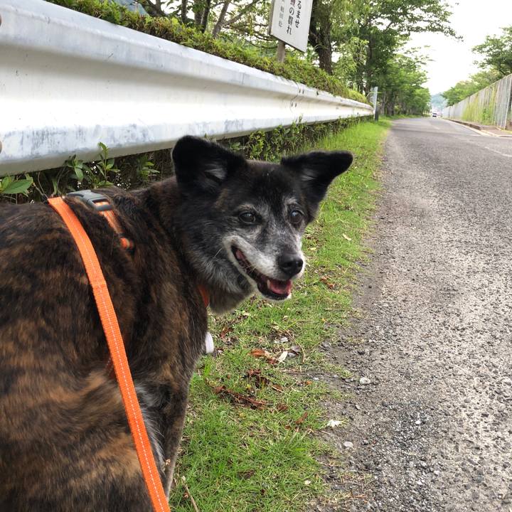 50a86a1c 9d1c 4e2c a82b 0591514f18bb 1686832486456