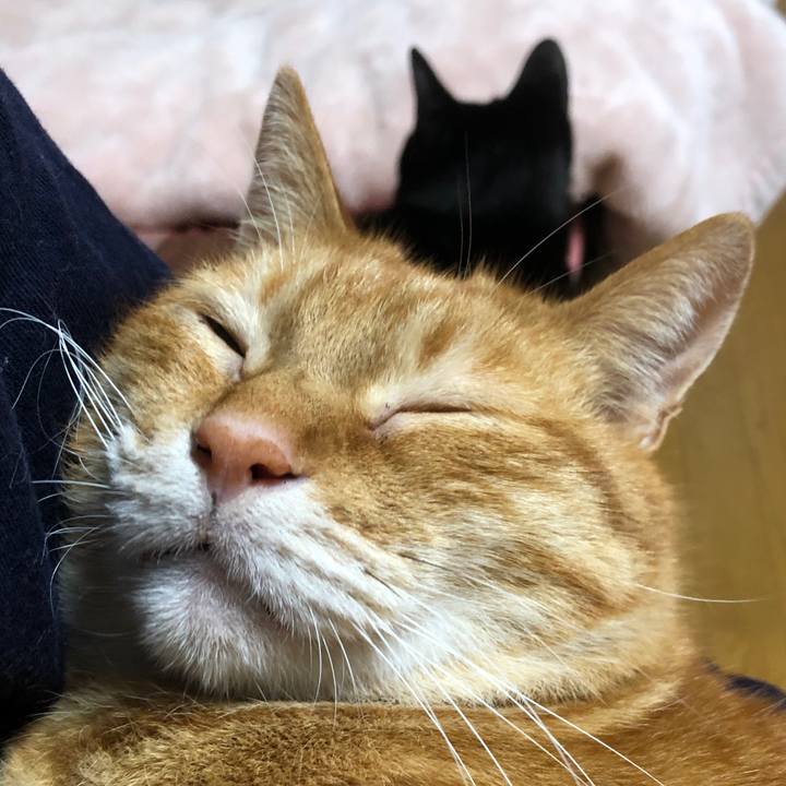 50a87771 3e7e 491c a7a0 8437ea70d879 1712234861591