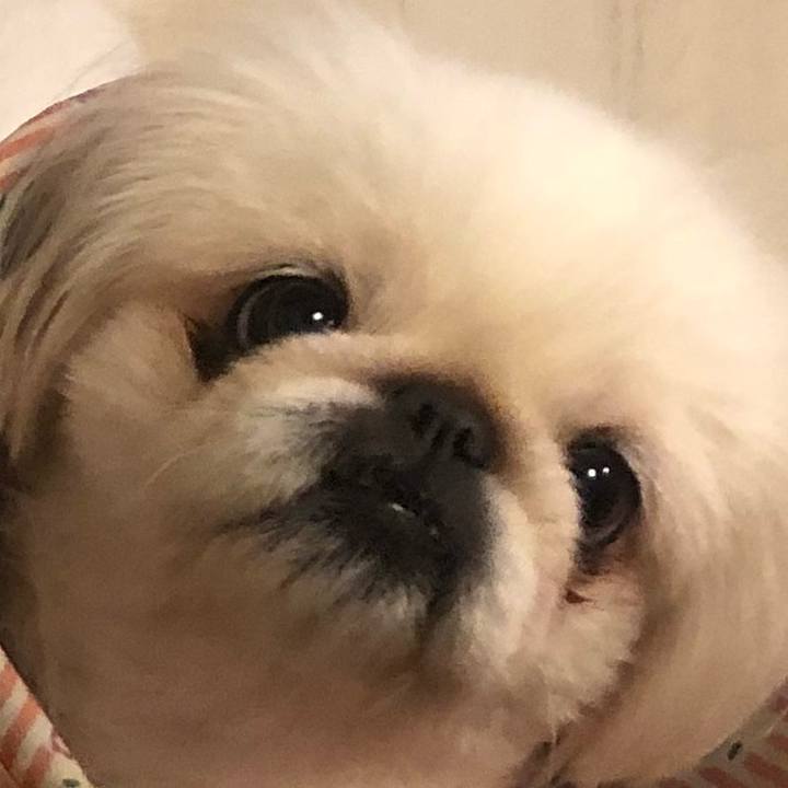 50a8893c 4296 4d26 8624 ac8eb80d864c 1539428649901