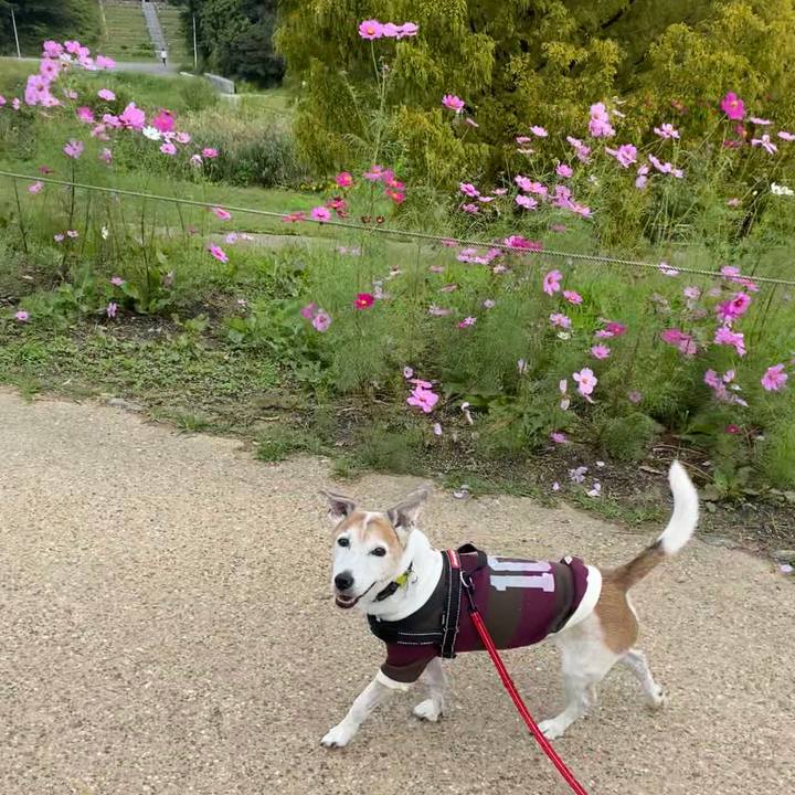 50a8c57a e63d 4e35 becc 70e1a3aaf94e 1603011172615