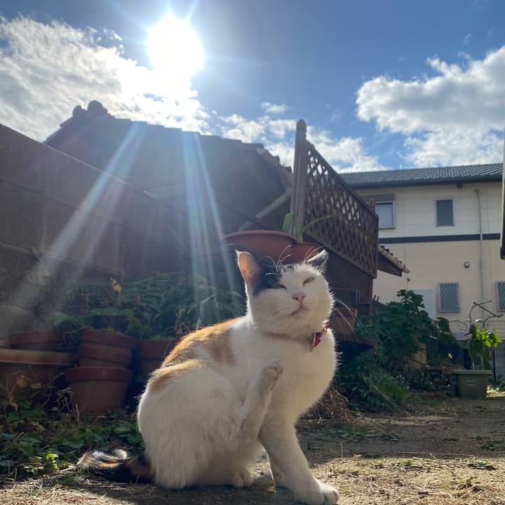 50a8caec 8e6b 4922 adf9 3d671ade4cad 1638008450629