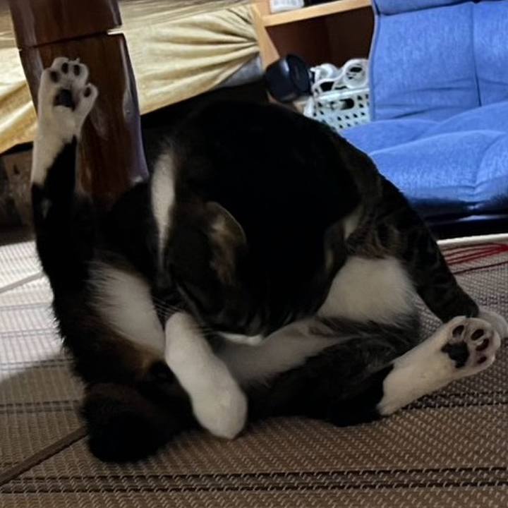 50a8e737 0ed9 461e 8a36 1eda97c0f27d 1774307750361