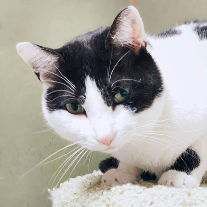 50a8eab3 85fa 45b9 b831 ad3f3bc2805c 1554515631530