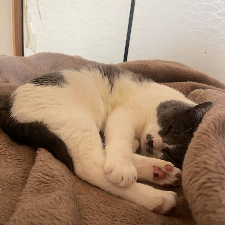 50a8f93f d60e 4a5b b204 c53691ca71b7 1681692109483