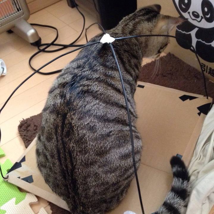 50a9069a ffe4 48f3 96bc 6efbbfa38c82 1514059788234