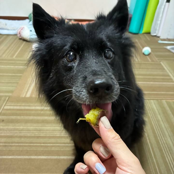 50a91f70 bb0b 4f66 93cf 84908bcc183a 1759069049811