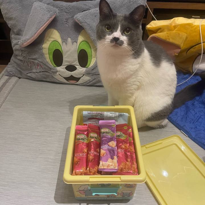 50a99ef9 4467 48ac 9dcd 71cb66cdcbf0 1751901540085