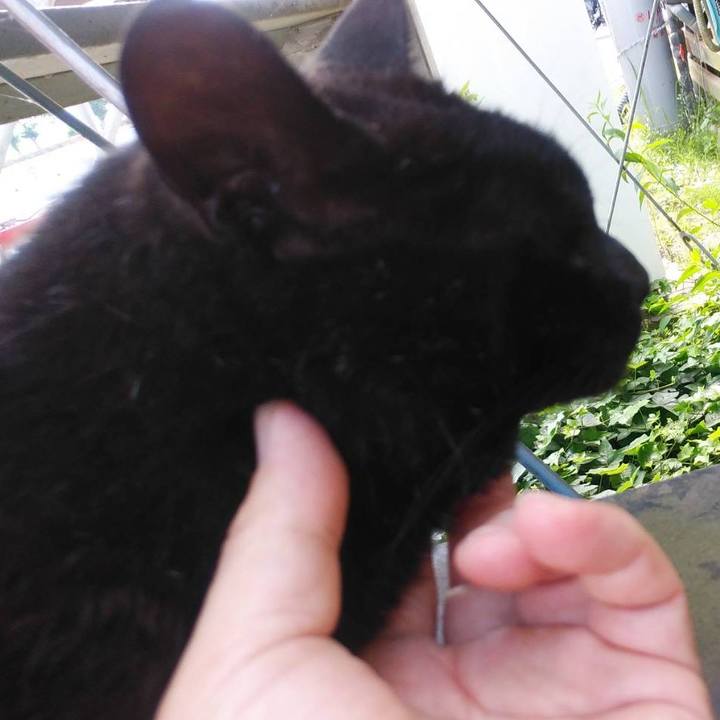 50a9af4f 267f 4cae 9d76 50165e570142 1623368979921