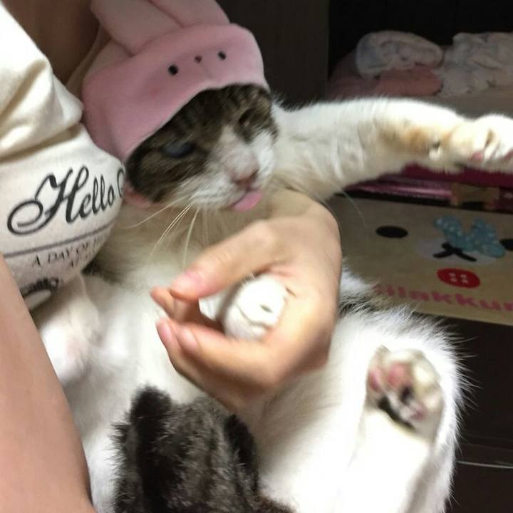 50a9b94f 13b7 4408 8e4f 5764371d3eb4 1546952320183