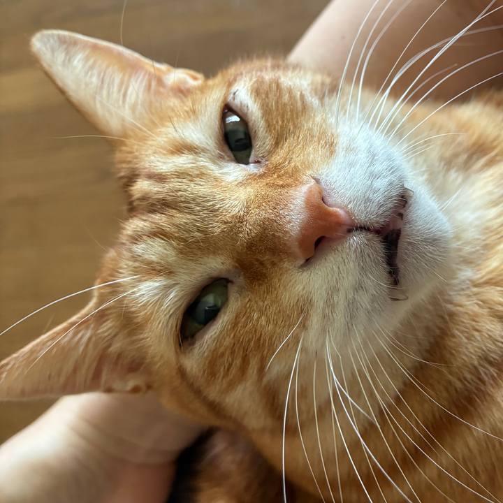 50a9c3ed e300 47fa 863c d82d48c5ff78 1758322758634