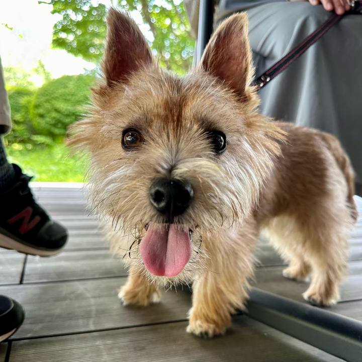 50a9c545 e171 4ec7 a601 0142a0a031d4 1717307222033