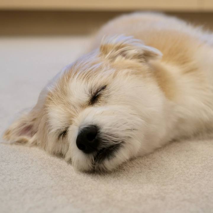 50a9ed24 5433 44ef 901a 9eb71ae2ecf9 1773753125257