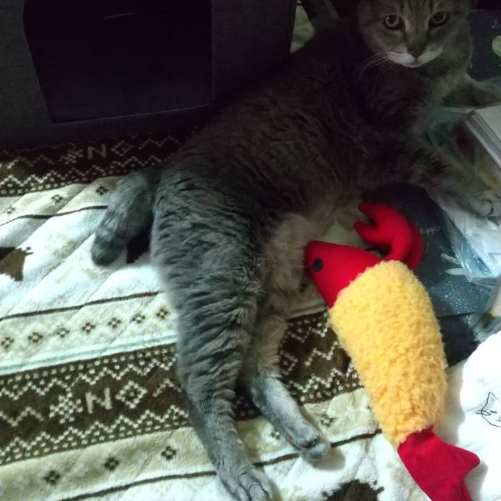 50aa1df1 0045 49e2 b9bb 3e1a8fa054ea 1681282631308